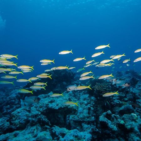 Bangaram Island Beach Resort المظهر الخارجي الصورة