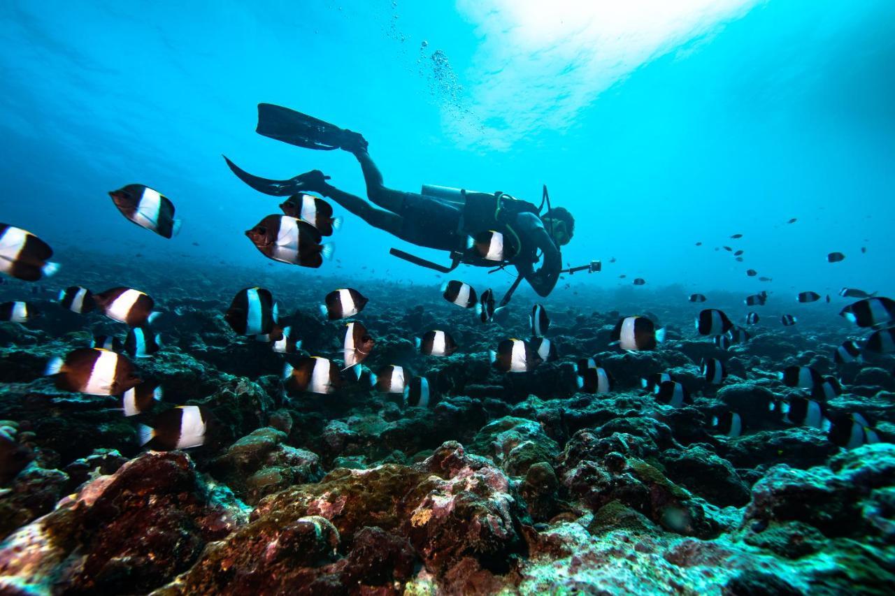 Bangaram Island Beach Resort المظهر الخارجي الصورة
